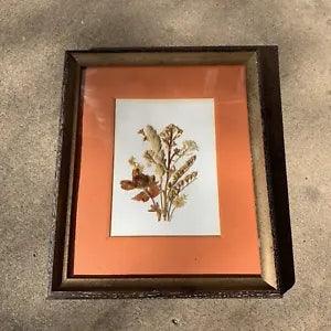 Dried flowers in a beautiful frame Signed by artist