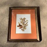 Dried flowers in a beautiful frame Signed by artist