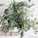 Seeded Eucalyptus Greenery | DIY Wedding Greenery | Flower Moxie Flower Delivery
