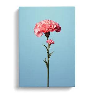 Carnation Flower Minimalism No.2 Canvas Print Wall Art Framed Picture Large