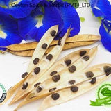 100 Of Butterfly Pea Flower Seeds ,Freshly Picked, Clitoria Ternatea Seeds ,Easy Plant