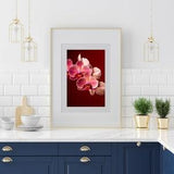 Beautiful Vibrant Fine Art Photographic Print of an ORCHID available in many sizes on canvas, metal, acrylic and fine art papers - fast ship