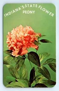 Postcard IN Peony Indiana's State Flower D10