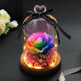 Natural Dried Flowers The Beauty And Beast Eternal Real Rose in Glass Dome With
