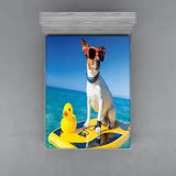 Rubber Duck Fitted Sheet Cover with All-Round Elastic Pocket in 4 Sizes