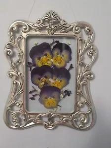 Dried Pressed Pansies in Ornate Vintage Silver Floating Frame: 8.25" x 6.5"