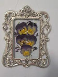 Dried Pressed Pansies in Ornate Vintage Silver Floating Frame: 8.25" x 6.5"