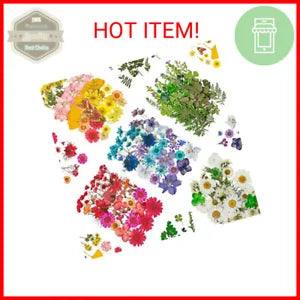 New ListingDried Pressed Flowers, 170+ Pcs Mixed Dried Flowers for Resin, Bulk Natural Dry