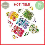 New ListingDried Pressed Flowers, 170+ Pcs Mixed Dried Flowers for Resin, Bulk Natural Dry