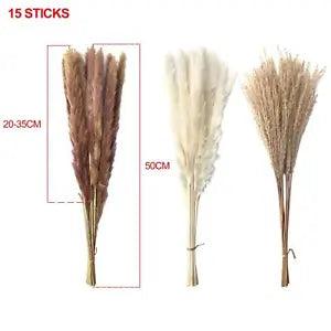 Dried Pampas Grass Bouquet Bunch Reed Flowers Table Centerpieces Living Room