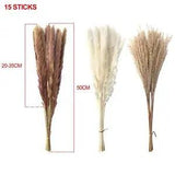 Dried Pampas Grass Bouquet Bunch Reed Flowers Table Centerpieces Living Room