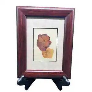 Framed Pair of Pressed Pansies in Great Condition No Damage to Custom Frame
