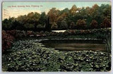 Pittsburg, Pennsylvania PA - Lily Pond View at Schenley Park - Vintage Postcard