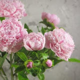 Bouquet of peonies. Pink peony from cold porcelain. Clay peony. Gift bouquet. Peonies of a gift. Porcelain flowers. Clay flowers.