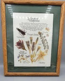 Vtg Yellowstone Wildflowers Dried Pressed  Specimen Foliage Wood Wall Art Framed