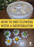 How to Dry Flowers With a Dehydrator ? New Life On A Homestead Flower Delivery
