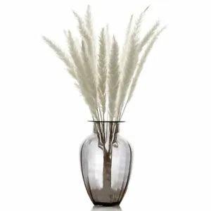 Natural Dried Small Pampas Grass white pink color Wedding flowers Decorati 15pcs