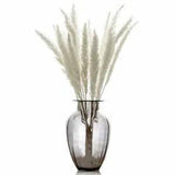 Natural Dried Small Pampas Grass white pink color Wedding flowers Decorati 15pcs