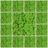 Forest Green Natural Norwegian Reindeer Moss Preserved Dried Craft Flower Stamen