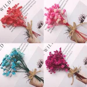 Mini Natural Dried Flowers Bouquet Photography Photo Backdrop Decor DIY Crafts