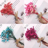 Mini Natural Dried Flowers Bouquet Photography Photo Backdrop Decor DIY Crafts