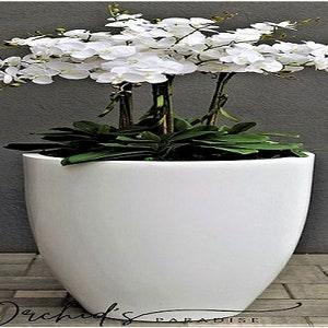 PURE PARIS - XXL  Faux Orchids real touch Arrangement in planter pot for Indoor -Pure soft round -D 46 x H 45 - Home Interior Decor -