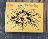 Anita's Water Lily Flower Plant Rubber Stamp Wood #R24