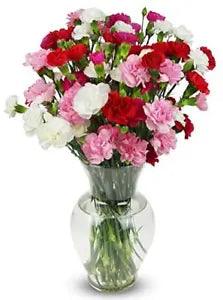 20 stem Rainbow Mini Carnations, With Vase (Fresh Cut Flowers)