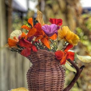 California Poppy mix Seeds - Eschscholzia californica - Annual Flower - Flower Seeds - Heirloom - Eschscholzia californica