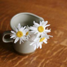 How to Dry Daisies | Hunker Flower Delivery
