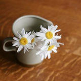 How to Dry Daisies | Hunker Flower Delivery
