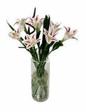 Miniature Dollhouse White Lily Flowers in a Clear Vase 1:12 Scale New