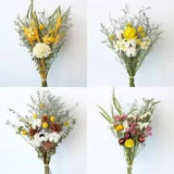 lot Dried Cotton  Eucalyptus Bouquet - Natural Plant Bunch for Home Decor