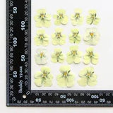 12PCS Real Pressed Dry Pansies/Violas Flower for art candle craft FSS47 #2