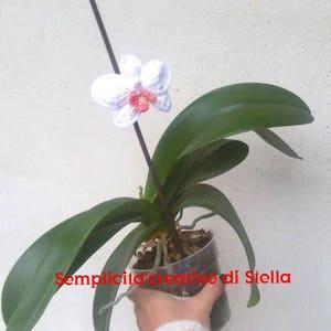 Crochet Orchid to "Pinch" to your vase!