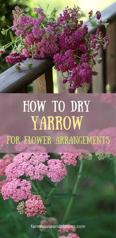 HOW TO DRY YARROW FOR FLOWER ARRANGEMENTS Flower Delivery