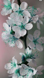 Flower Bazaar Flower Delivery
