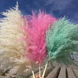 Natural Dried Flower Pampas Grass Reed Branch Bouquet Wedding Party Home Decor