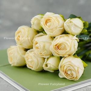 10 Stems Dried Look Rose Bouquet in Long Stem | High Quality Artificial Flower | DIY Floral | Wedding/Home Decoration | Gifts - White