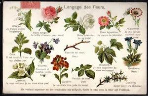 BT086 LANGUAGE of FLOWERS LANGAGE des FLEURS LILY of the VALLEY ROSE VIOLET 1906