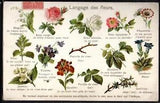 BT086 LANGUAGE of FLOWERS LANGAGE des FLEURS LILY of the VALLEY ROSE VIOLET 1906