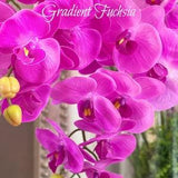 Deep pink orchid stems, Large & luxurious artificial fuchsia faux flowers, modern floral arrangement, hot pink butterfly Orchids, home decor