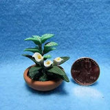 Dollhouse Miniature Table Top House Plant with Lily in Bowl ~ RP0185