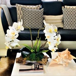 BOTANIC PARIS - Orchids Plant Arrangement Artificial in pot, real touch Faux orchid and Moss floral display,Phalaenopsis white flower,Gifts