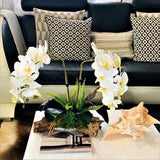 BOTANIC PARIS - Orchids Plant Arrangement Artificial in pot, real touch Faux orchid and Moss floral display,Phalaenopsis white flower,Gifts