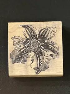 Magenta Flower Stamp, Clematis/Lily VTG Rubber Stamp Canada 3 X 3 Inches