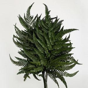 Prefleur DIY Crafts?Stabilized Preserved Real Green Ferns Wedding Garlands Home Decorations Bouquets Flower Arrangements Wall Hanging Dried