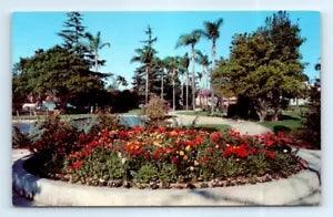 Postcard CA Anaheim City Park Bed Of Ranunculus Flowers Vtg Photo H10