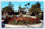 Postcard CA Anaheim City Park Bed Of Ranunculus Flowers Vtg Photo H10