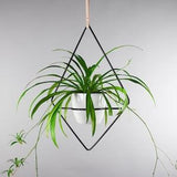 The Fernie - Diamond Hanging Planter - Leather Strap - Plant Hanger - Wire Steel Metal